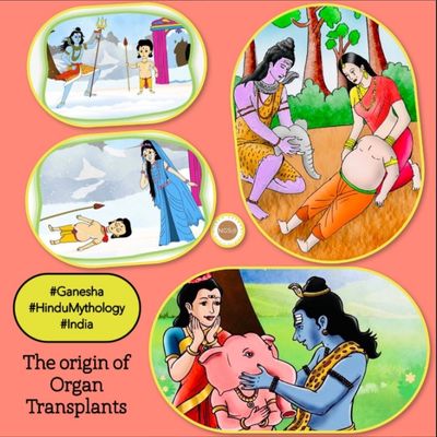 The Origin Of Organ Transplants